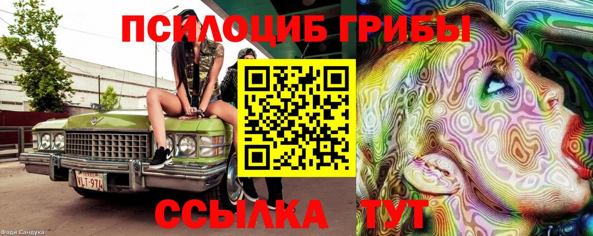 Галлюциногенные грибы прущие грибы  Вход с VPN  Тулун 